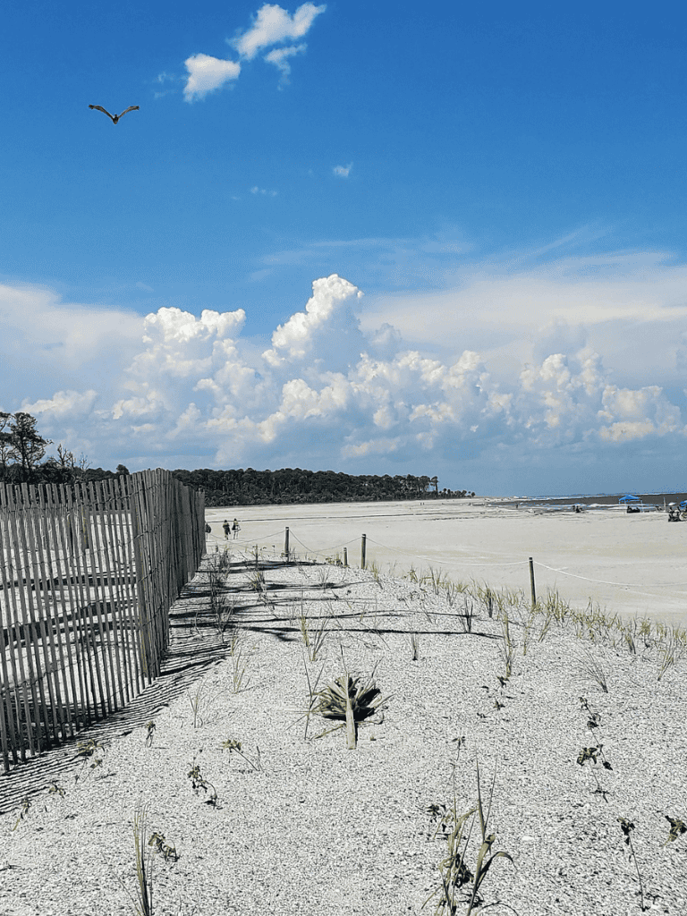 Seaside beach with dunes, fence, and blue sky, coastal scenery for travel and vacation keywords.