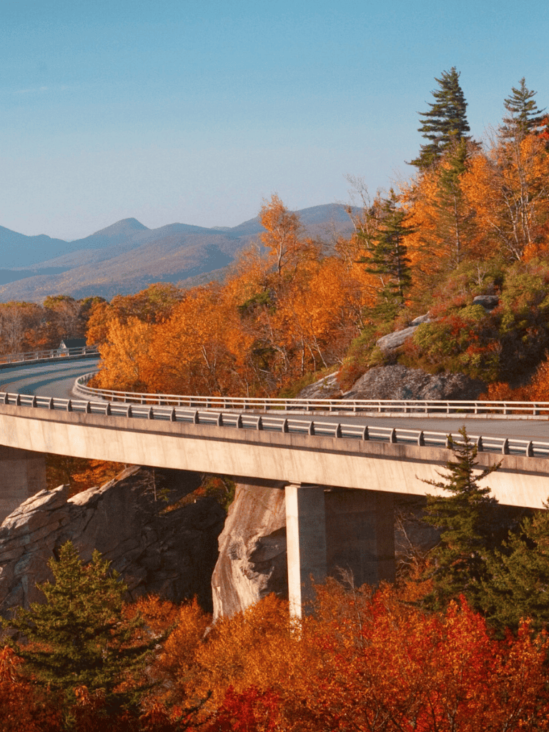 Scenic mountain highway with autumn foliage and a bridge over rocky terrain.