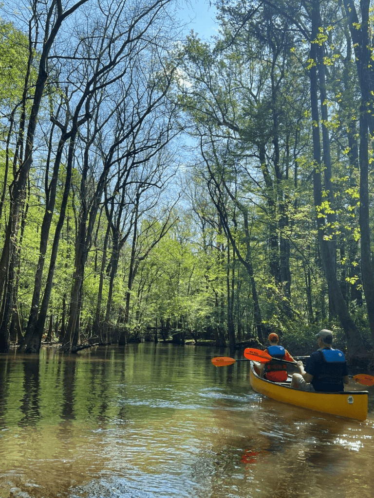 Kayakers paddling through calm river surrounded by lush green trees in a serene outdoor adventure scene.
