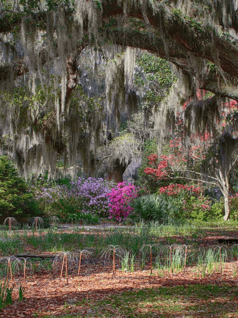 Vibrant lush garden with moss-draped trees and colorful flowering bushes in natural wilderness setting.