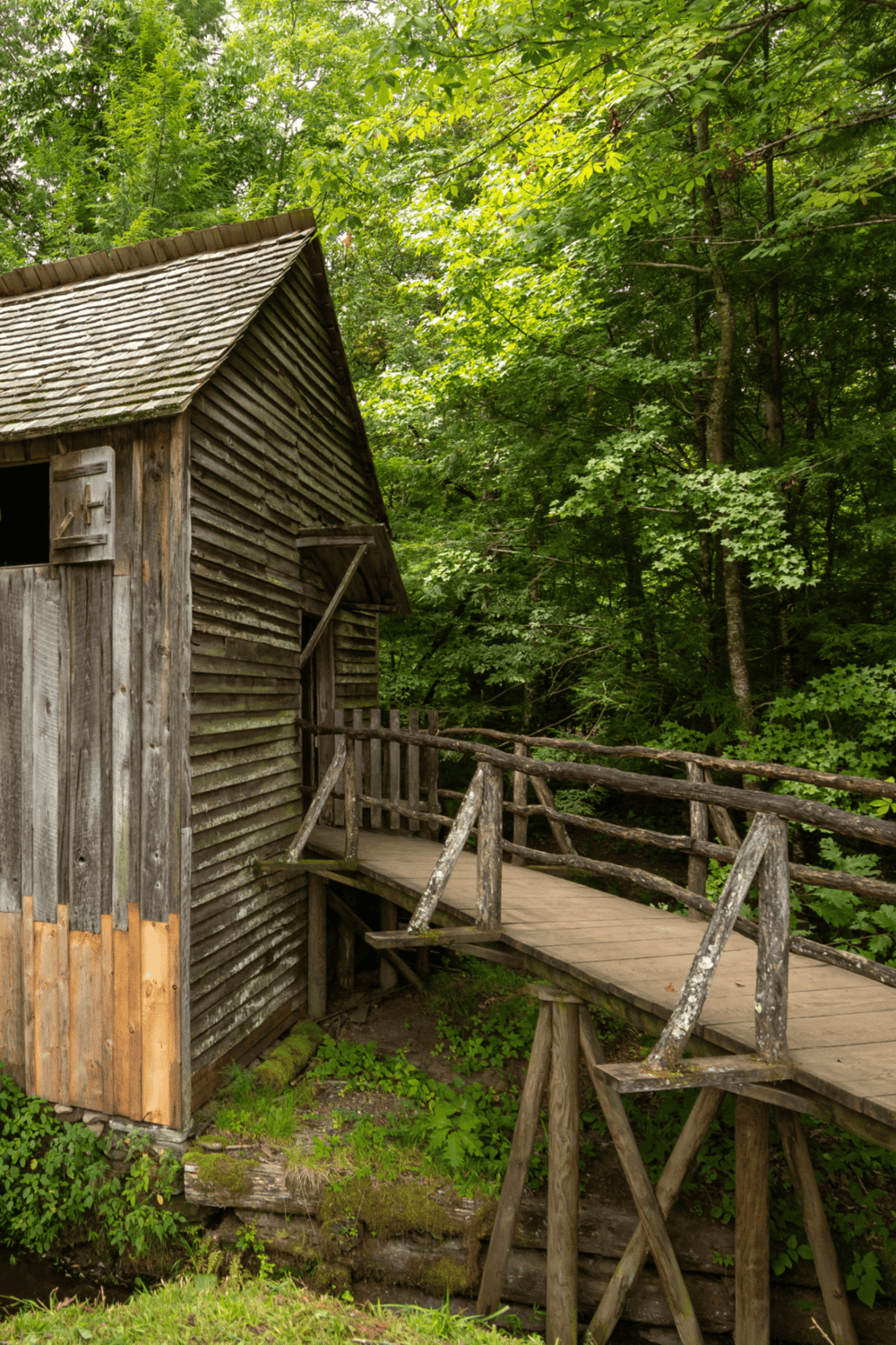 Overgrown wooden cabin with bridge in lush green forest, rustic outdoor scenery, nature retreat.