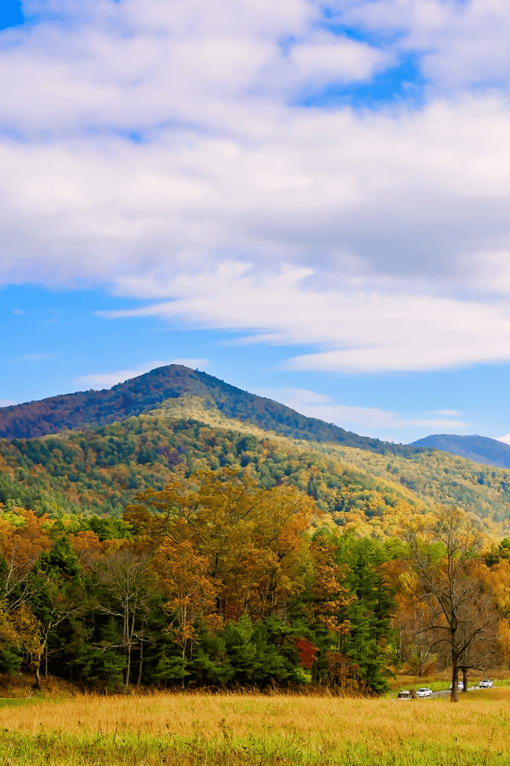 Vibrant fall landscape with colorful trees and mountain scenery for outdoor adventure travel.