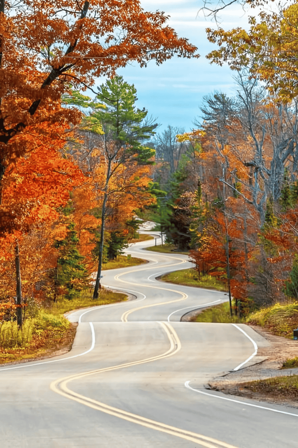 Winding forest road during autumn with colorful fall foliage and scenic views.