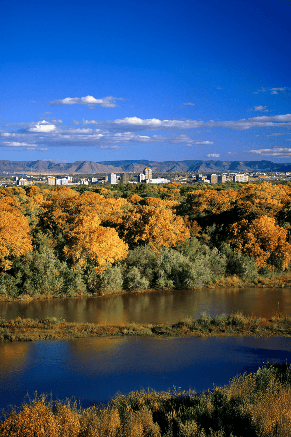 Vibrant fall landscape showcasing a river, colorful trees, and a city skyline against mountains under a blue sky.