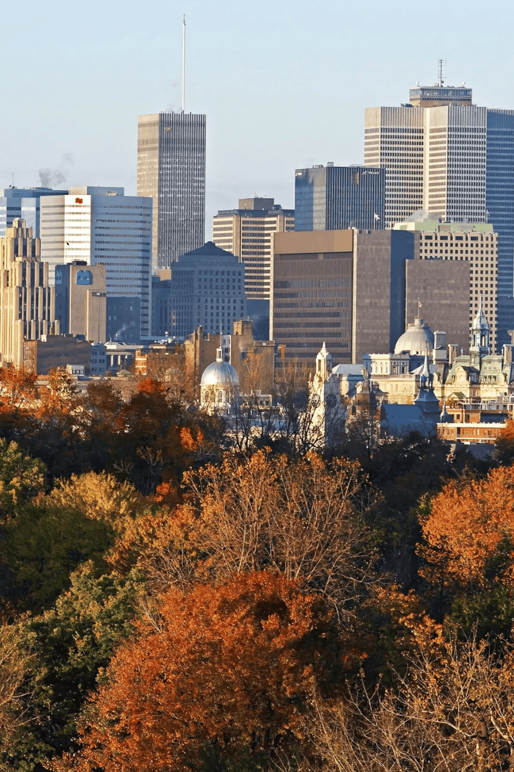 Downtown skyline of Portland, Oregon with autumn trees in foreground, urban cityscape, modern buildings, and historical architecture.
