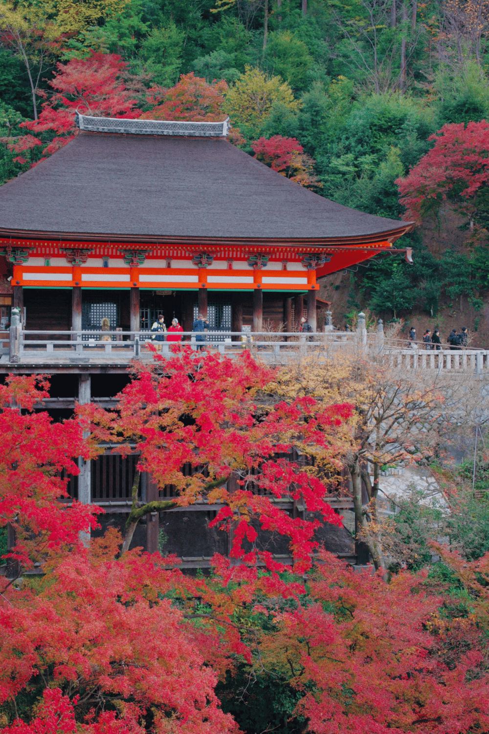 Ancient Japanese temple amid vibrant autumn foliage and colorful trees.