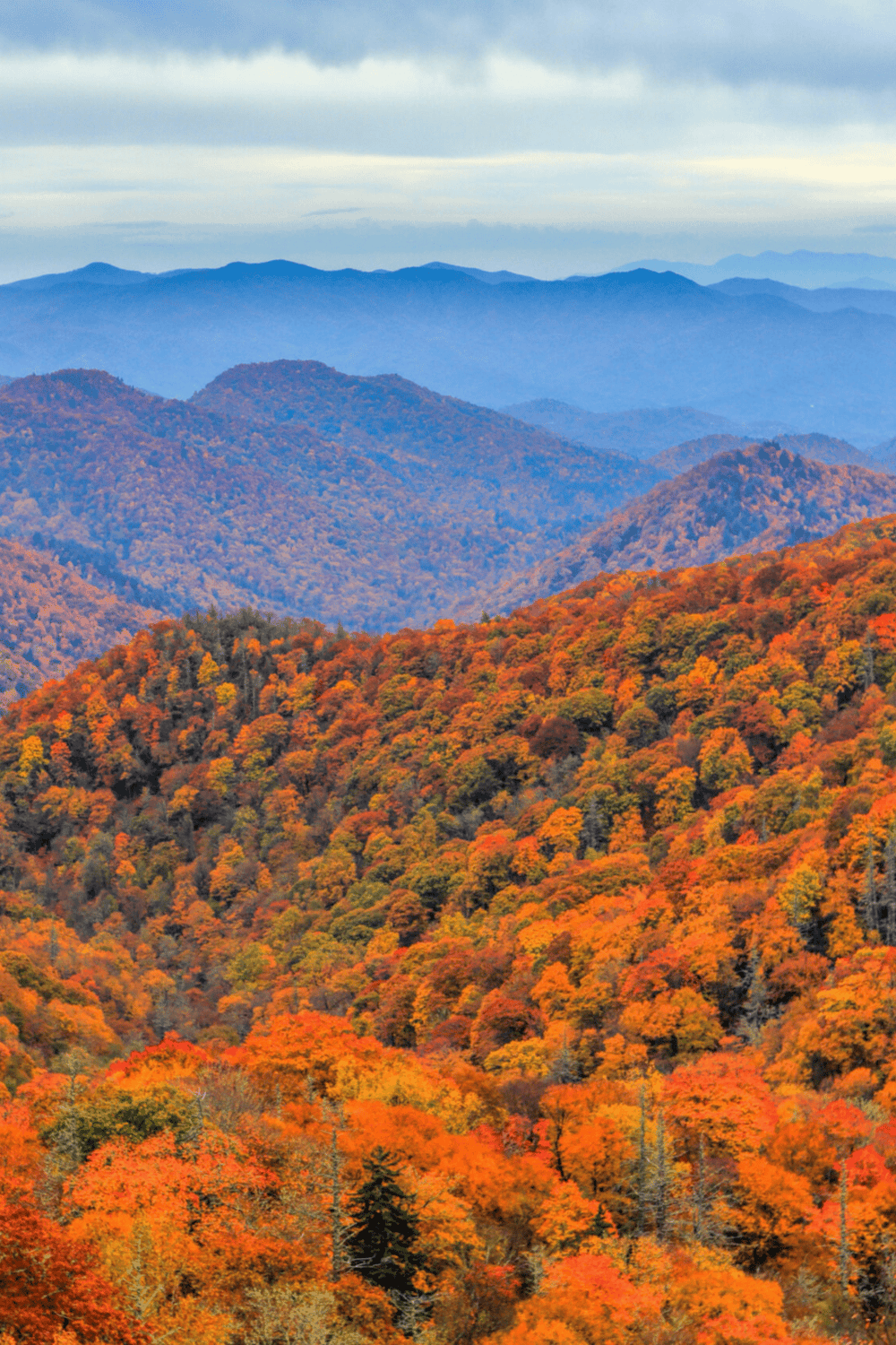 Vivid autumn mountain landscape with colorful fall foliage and layered blue mountain ranges.