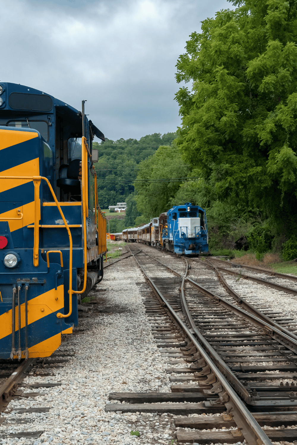 Colorful train tracks and locomotives in a scenic railway setting with lush greenery.