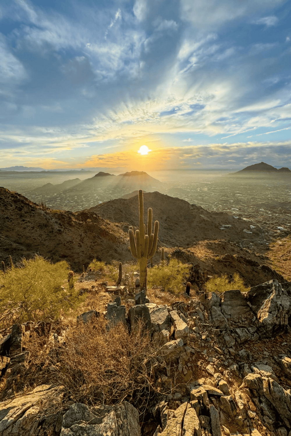 1. Desert landscape with cactus and mountains during sunset, scenic view, Arizona.