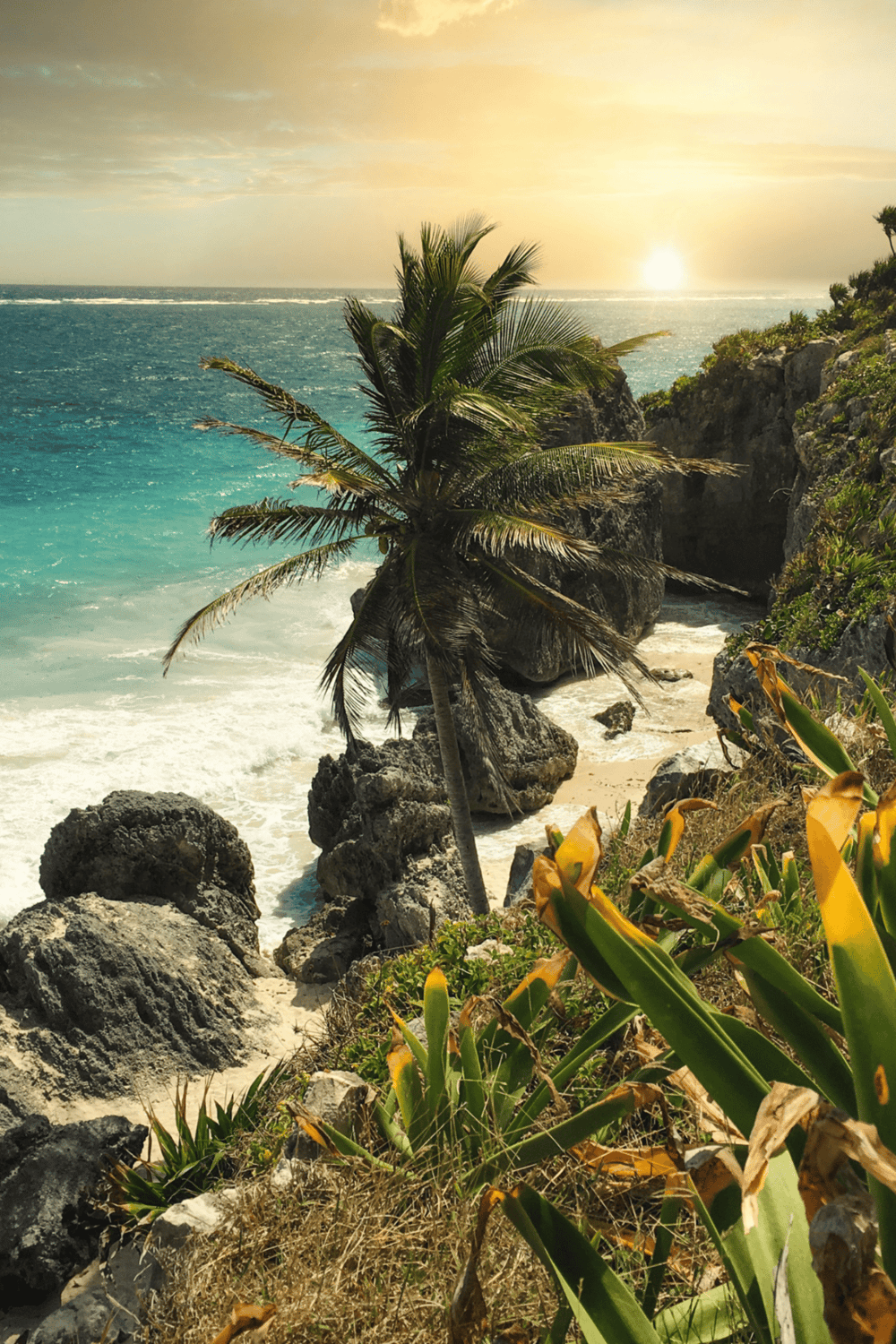 Tropical beach with palm trees, rocky cliffs, and turquoise ocean at sunset.