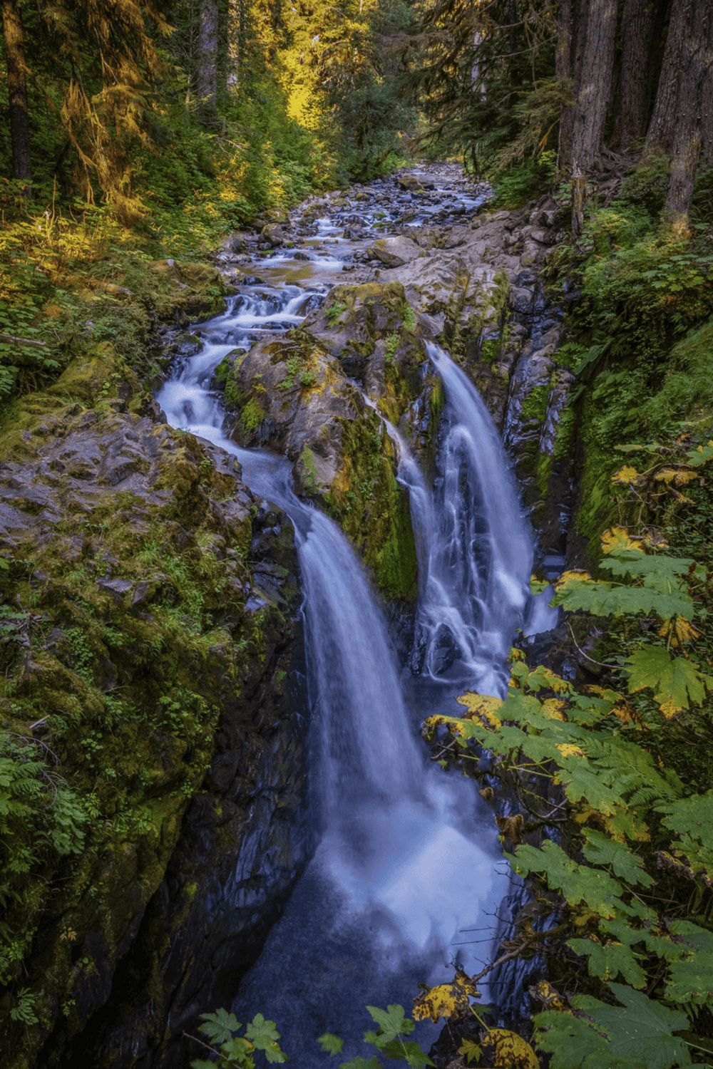 Tranquil mountain waterfall surrounded by lush green forest, scenic nature landscape, Oregon wilderness, serene outdoor adventure.