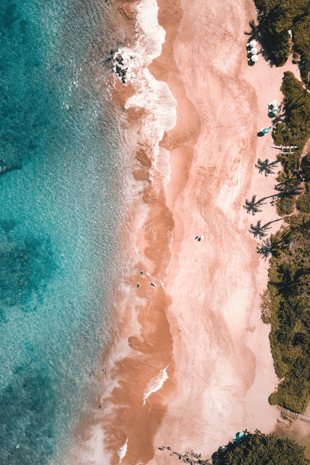 Pristine beach with turquoise waters and palm trees, perfect for vacation and relaxation.
