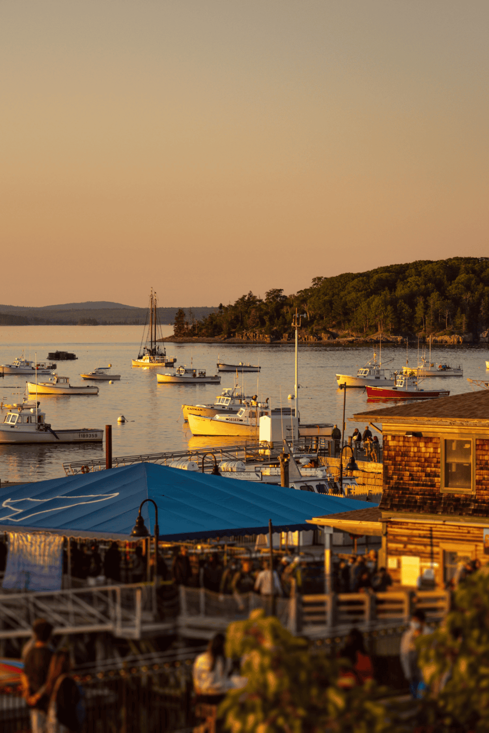 Serene marina with boats and sunset, perfect for scenic waterfront dining and boating adventures.