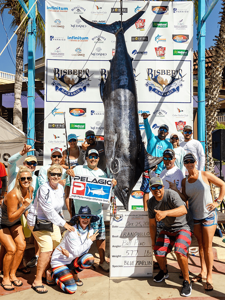 Large blue marlin caught at Quest for Directions fishing tournament, surrounded by excited anglers.