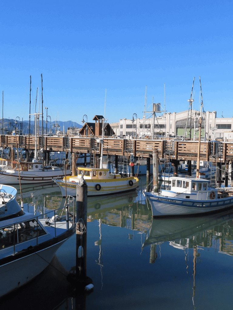 Marina with boats and clear blue sky, perfect for navigation and travel planning.