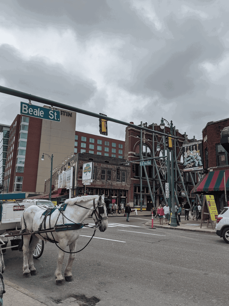 Horse-drawn carriage in downtown entertainment district on Beale Street, Memphis, Tennessee, under cloudy skies.