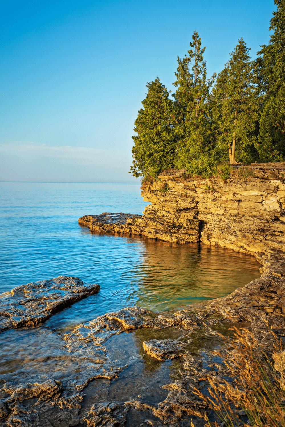 Earth scenic coastal cliff with lush trees and clear water, ideal for nature exploration and outdoor adventures.