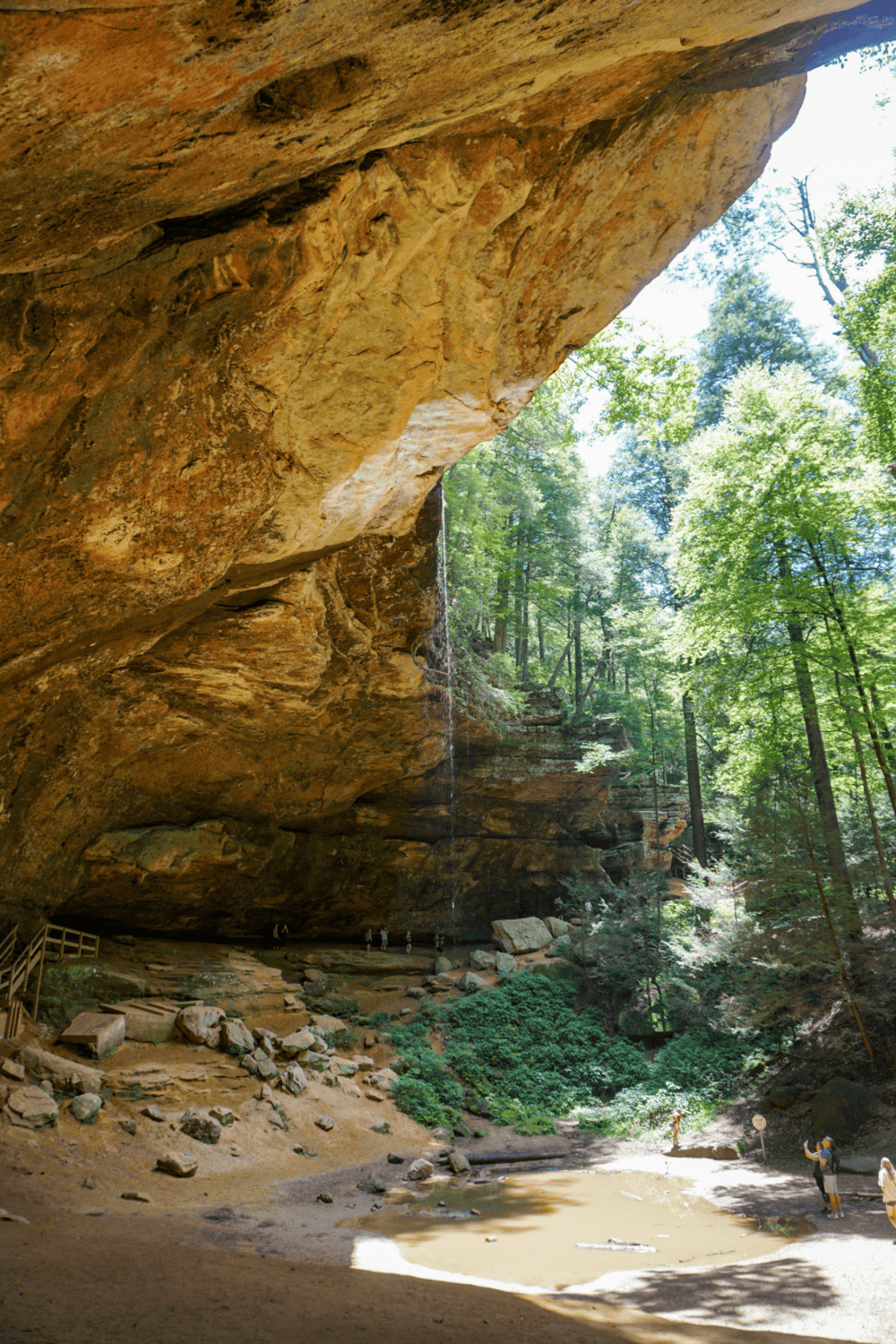 Vibrant shot of a waterfall in a lush forest cave, highlighting adventure travel and nature exploration.