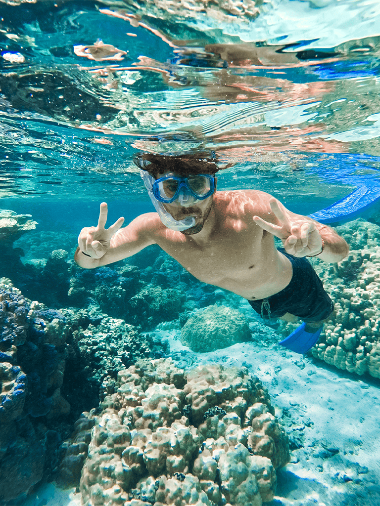 Vibrant underwater scene featuring a swimmer snorkeling among colorful coral reefs, showcasing vibrant marine life and clear ocean waters.