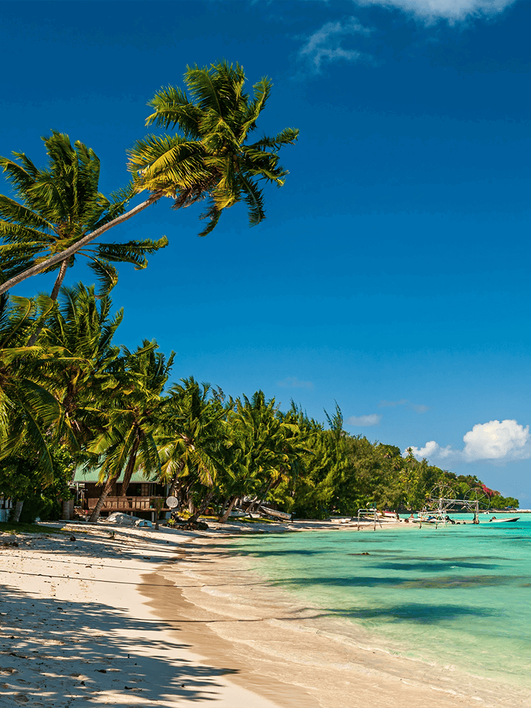 Tropical beach with palm trees, clear turquoise water, and blue sky, ideal for travel planning and vacation destinations.