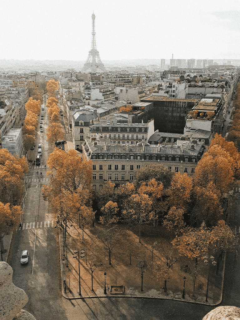 Autumn Paris cityscape with Eiffel Tower, tree-lined streets, and historic architecture.