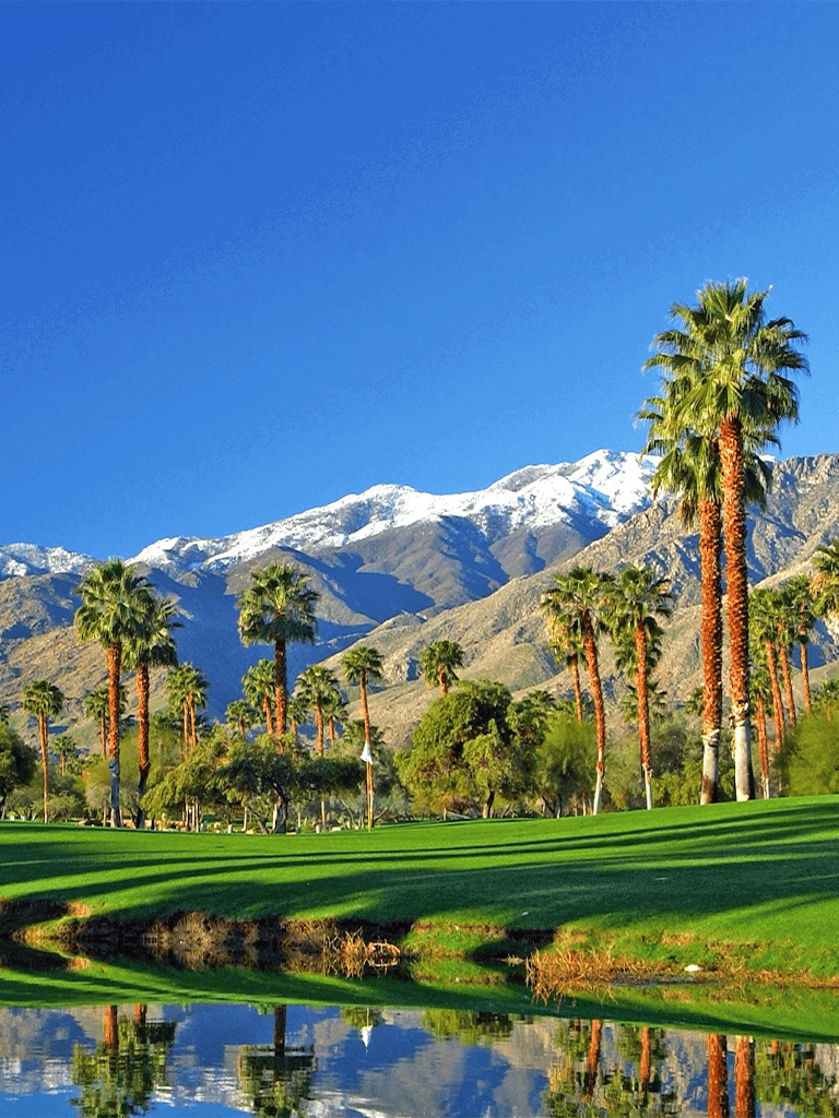 Vibrant golf course with palm trees, snow-capped mountains, and blue sky in Palm Springs, California.