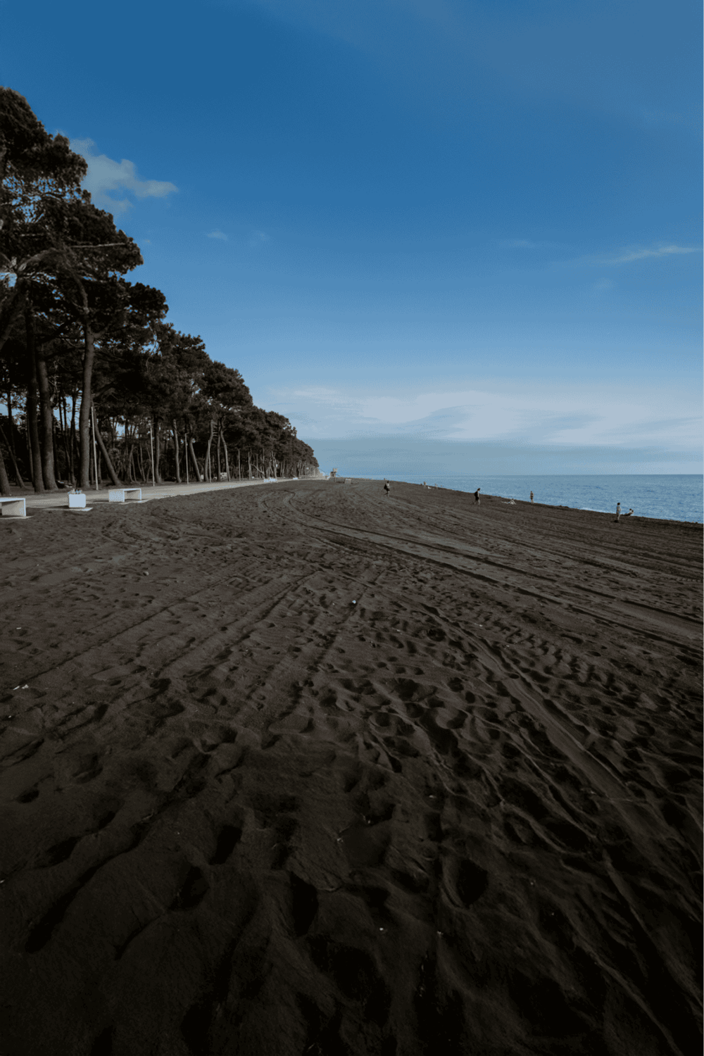 Climate-controlled indoor walking trail with scenic beach views and lush trees in the background.