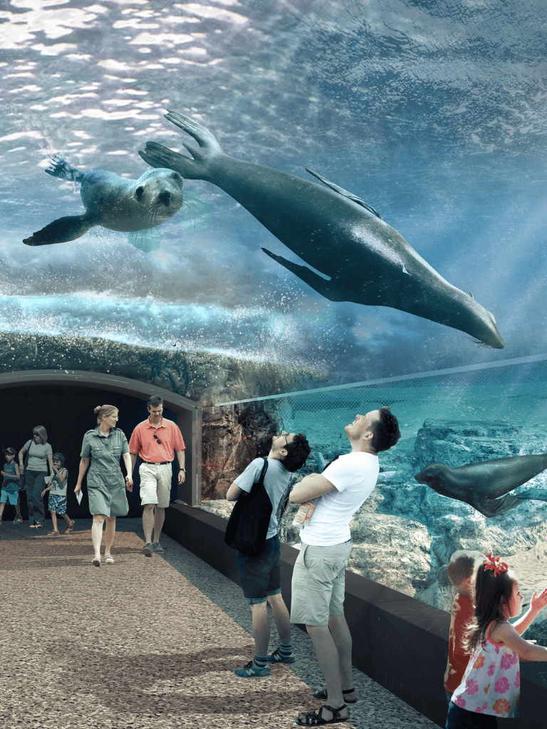 Seal and penguin exhibit at an aquarium, family and visitors enjoying marine animal viewing experience.