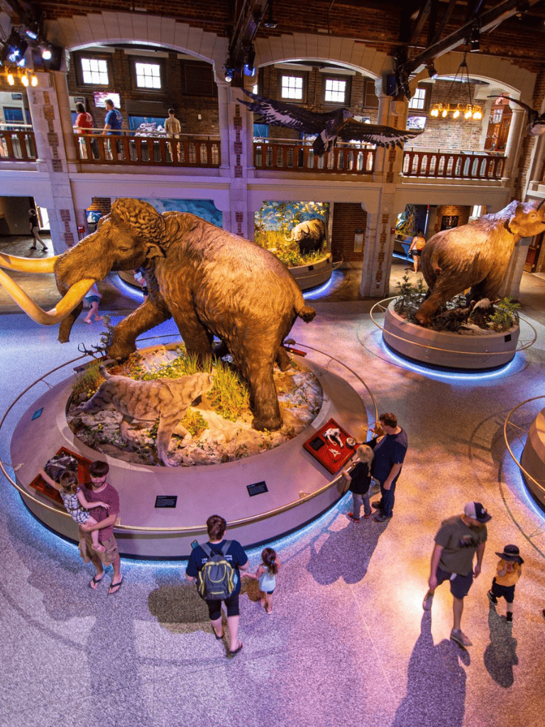 Ancient mammoth exhibit in a museum with visitors exploring the display.