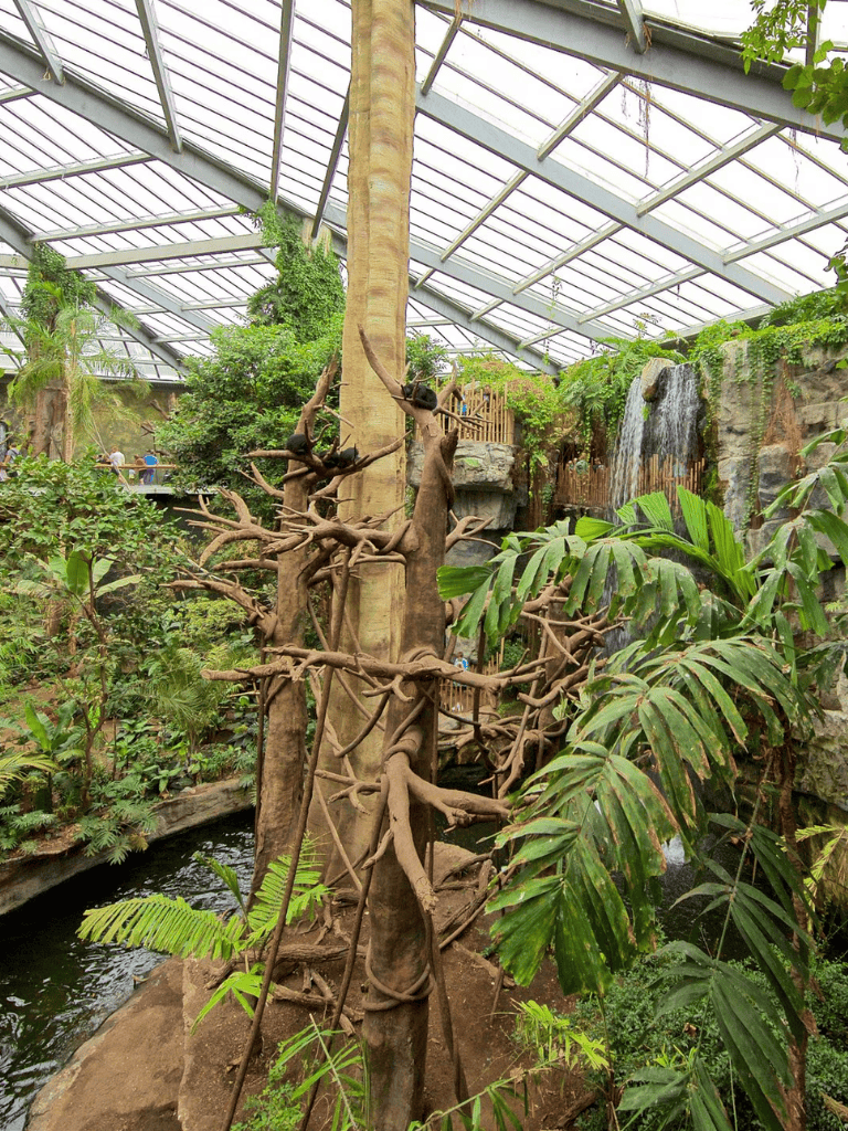Vibrant indoor rainforest with lush plants and waterfall at Quest For Directions botanical garden.