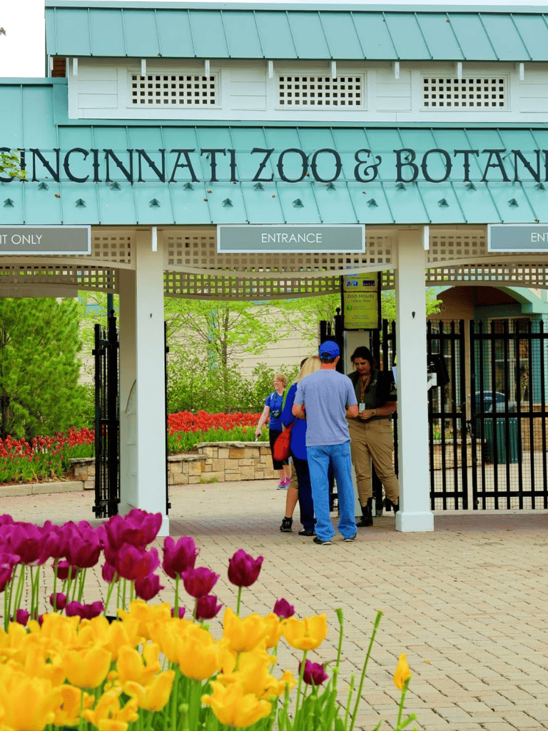 Brightly colored tulips at Cincinnati Zoo entrance, a popular wildlife and botanical garden destination.