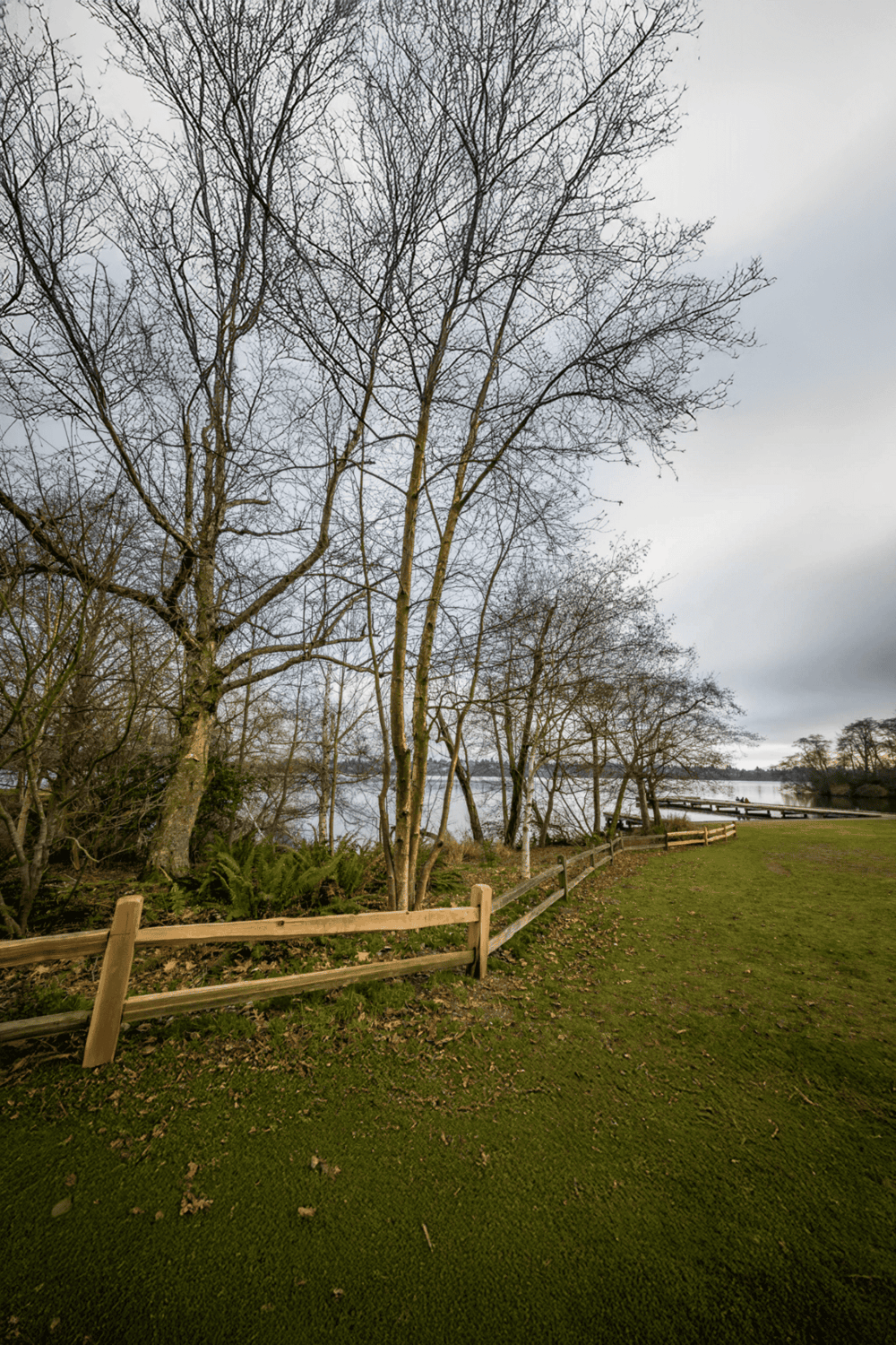 Bare trees near waterfront with green grass, leading to scenic outdoor area, perfect for nature walks and relaxation.