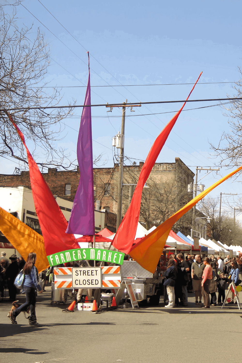 Colorful flags at Farmers Market, lively street scene, busy outdoor market, community event, local farmers, fresh produce, street closed for festivities.