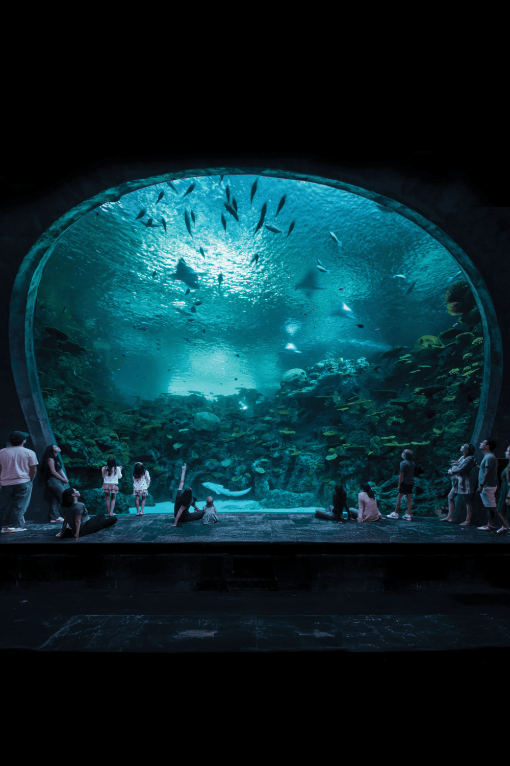 1. Stunning aquarium viewed through a circular observation window with marine life.