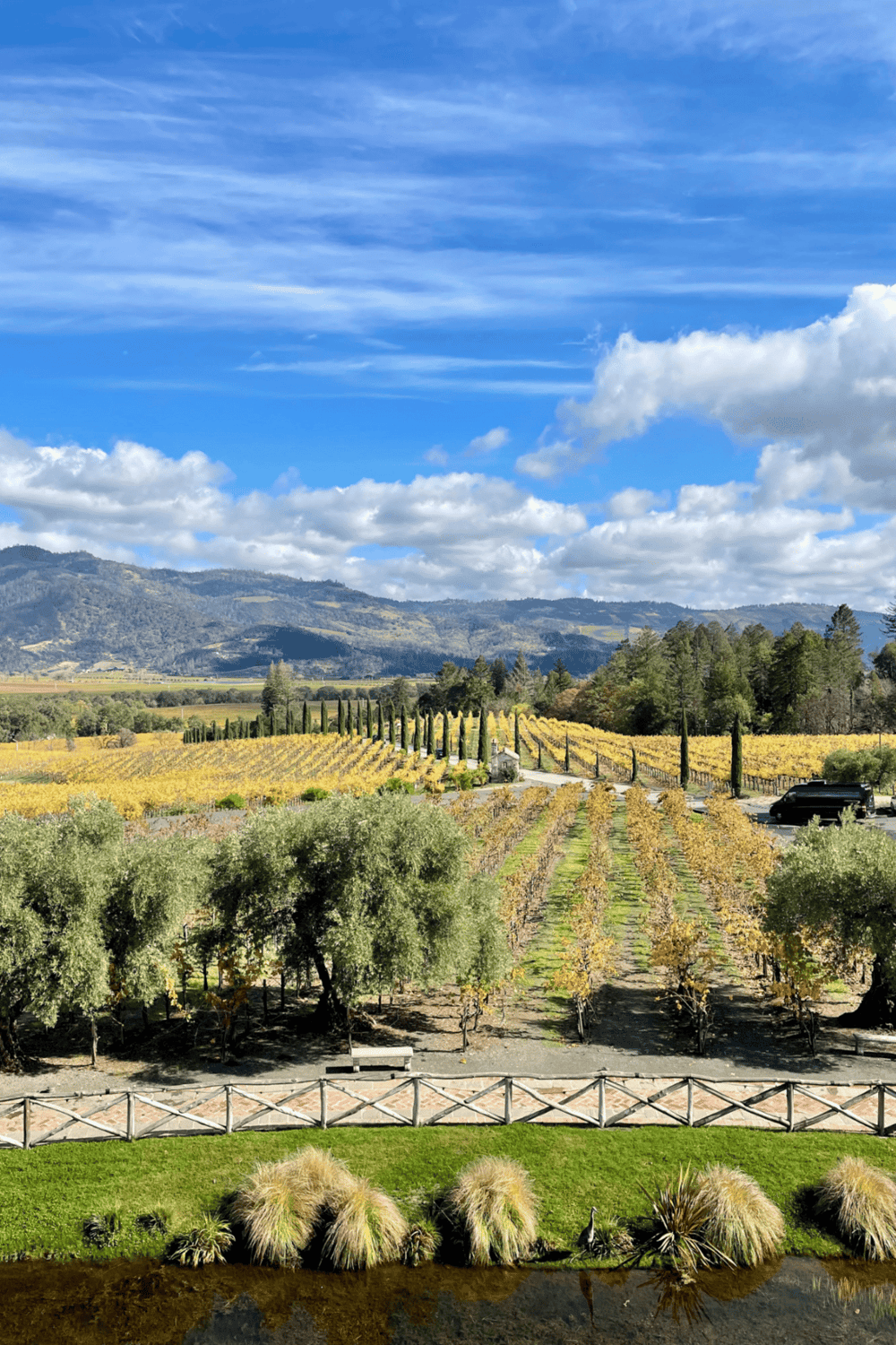 Vineyard landscape with rolling hills and blue sky, showcasing scenic California wine country views.