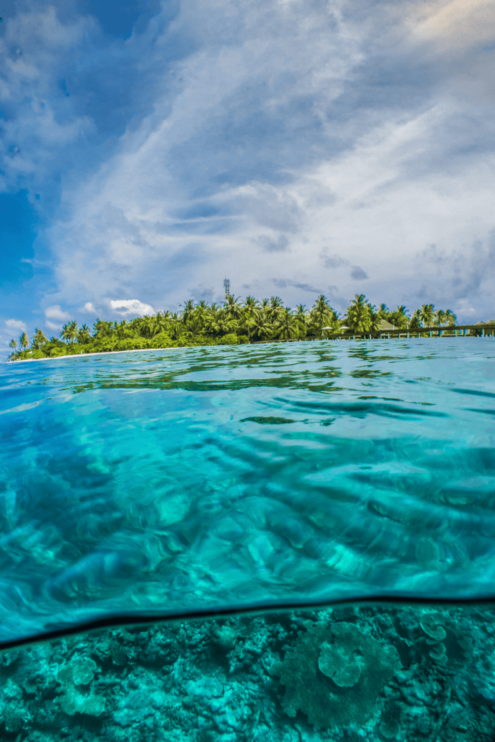 Serene island with lush tropical trees and a clear blue sky, perfect for travel inspiration.