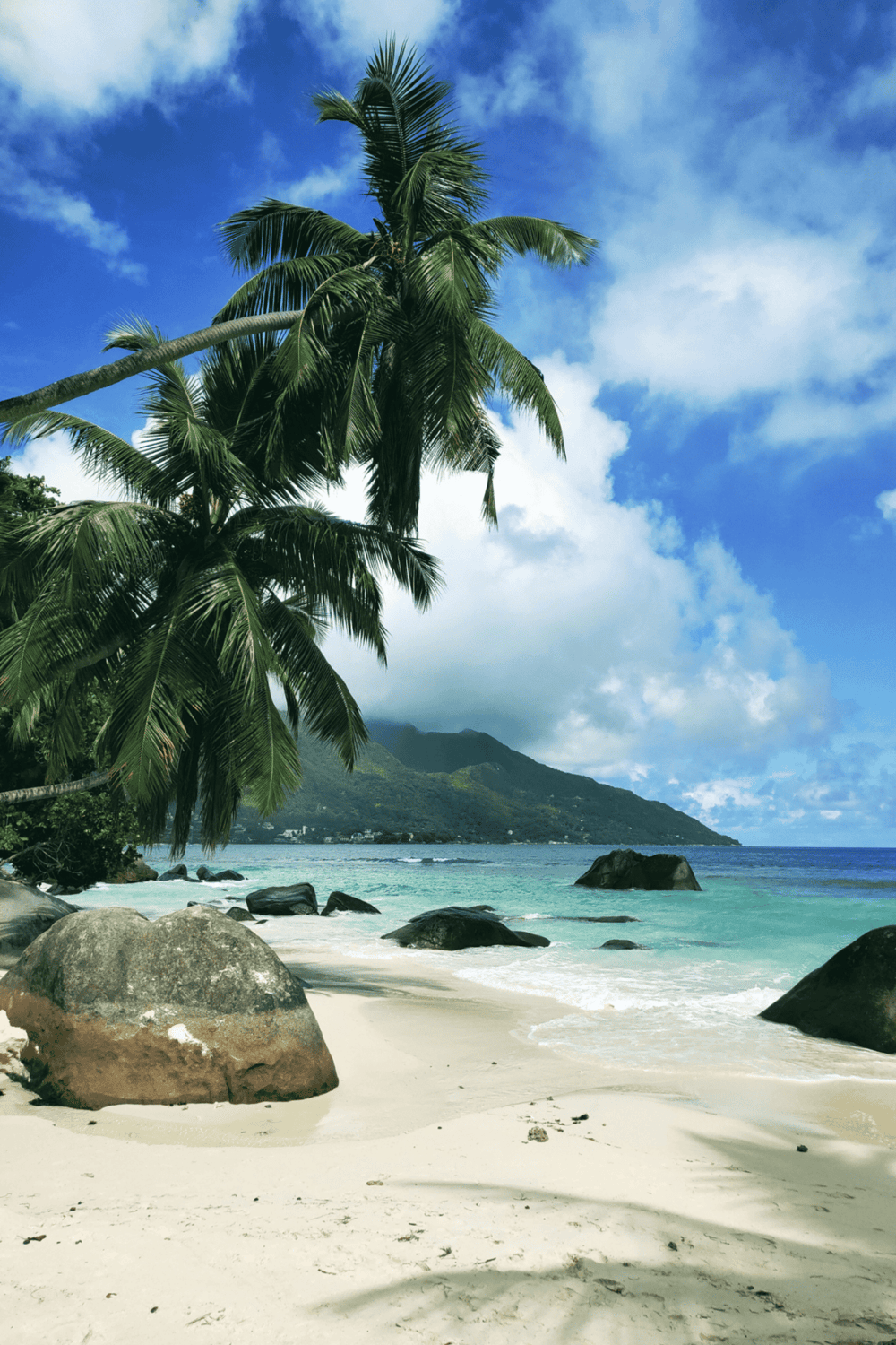 Tropical beach with palm trees and scenic mountain view, perfect for travel navigation and vacation planning.