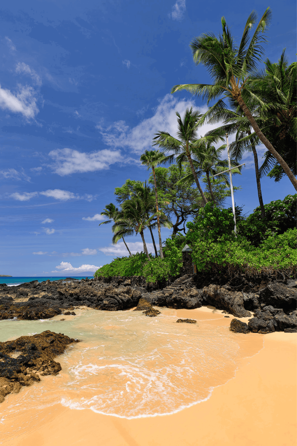 Tropical beach with palm trees, rocky shoreline, and clear blue sky, ideal for travel and vacation planning.