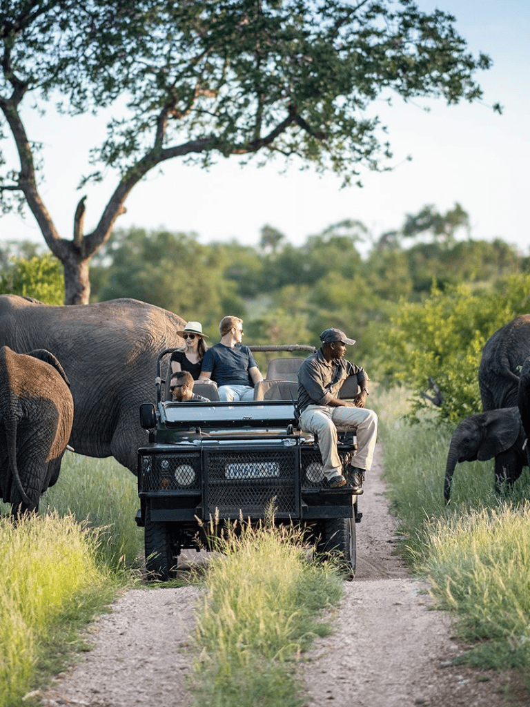 Elephant safari tour with tourists riding in an open vehicle in a lush green wildlife reserve.