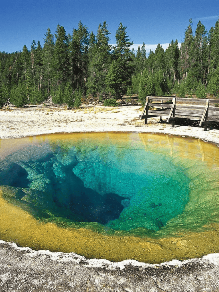 Vivid geothermal hot spring with vibrant colors surrounded by nature in Yellowstone National Park.