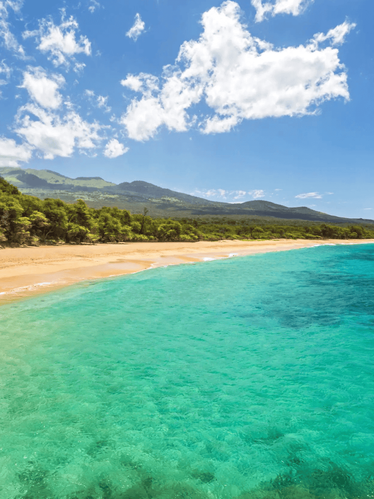 Pristine tropical beach with clear turquoise waters and lush green mountains in the background.