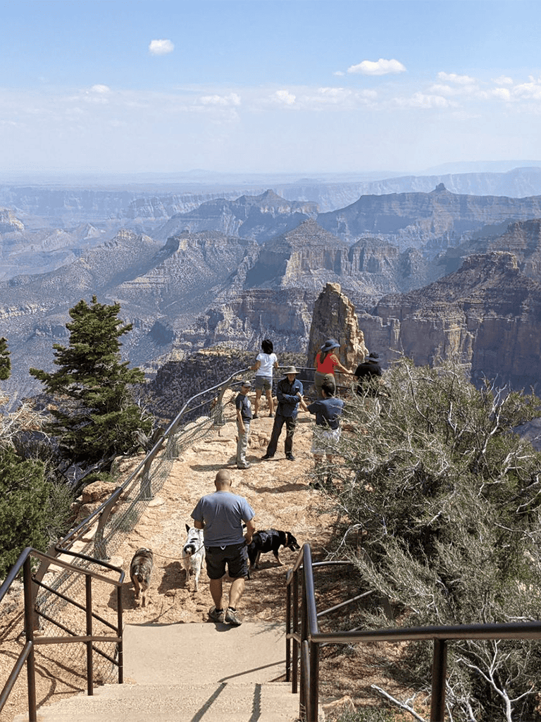 Scenic Grand Canyon viewpoint with visitors and dogs enjoying breathtaking natural views and hiking trails.