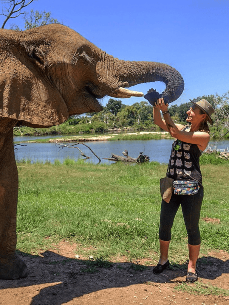 Elephant feeding a woman at a wildlife sanctuary, eco-tourism, nature adventure, animal encounter, outdoor activity.