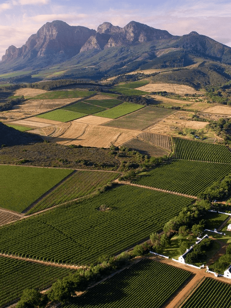 Vineyard landscape with mountains, fields, and lush vineyards near QuestForDirections.