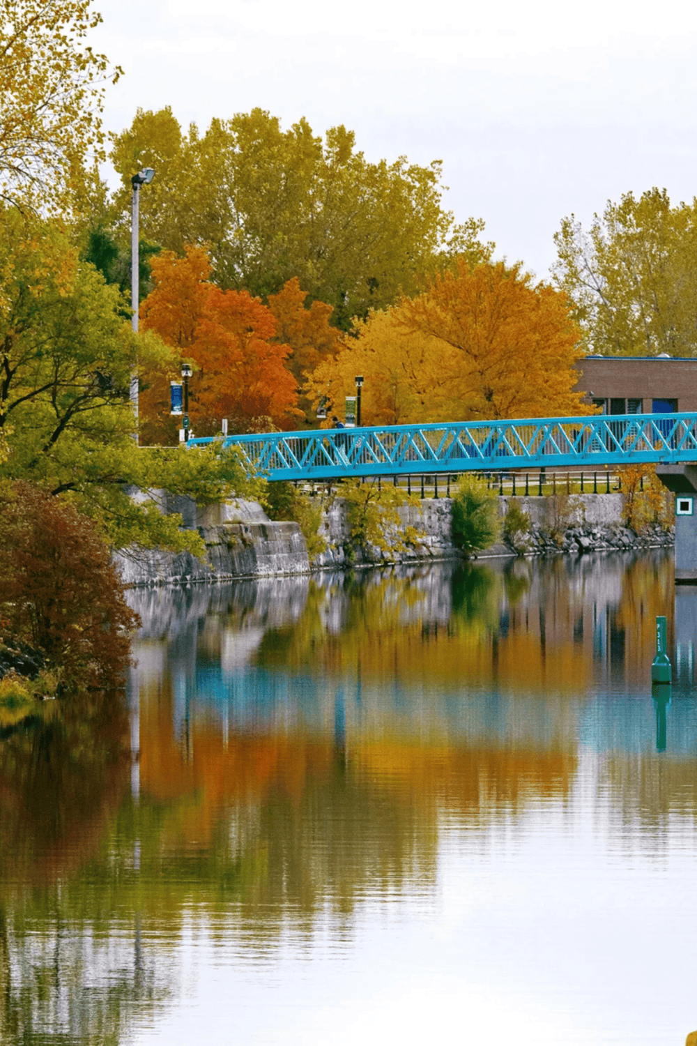 Autumn trees and blue bridge over river during fall, scenic nature landscape.