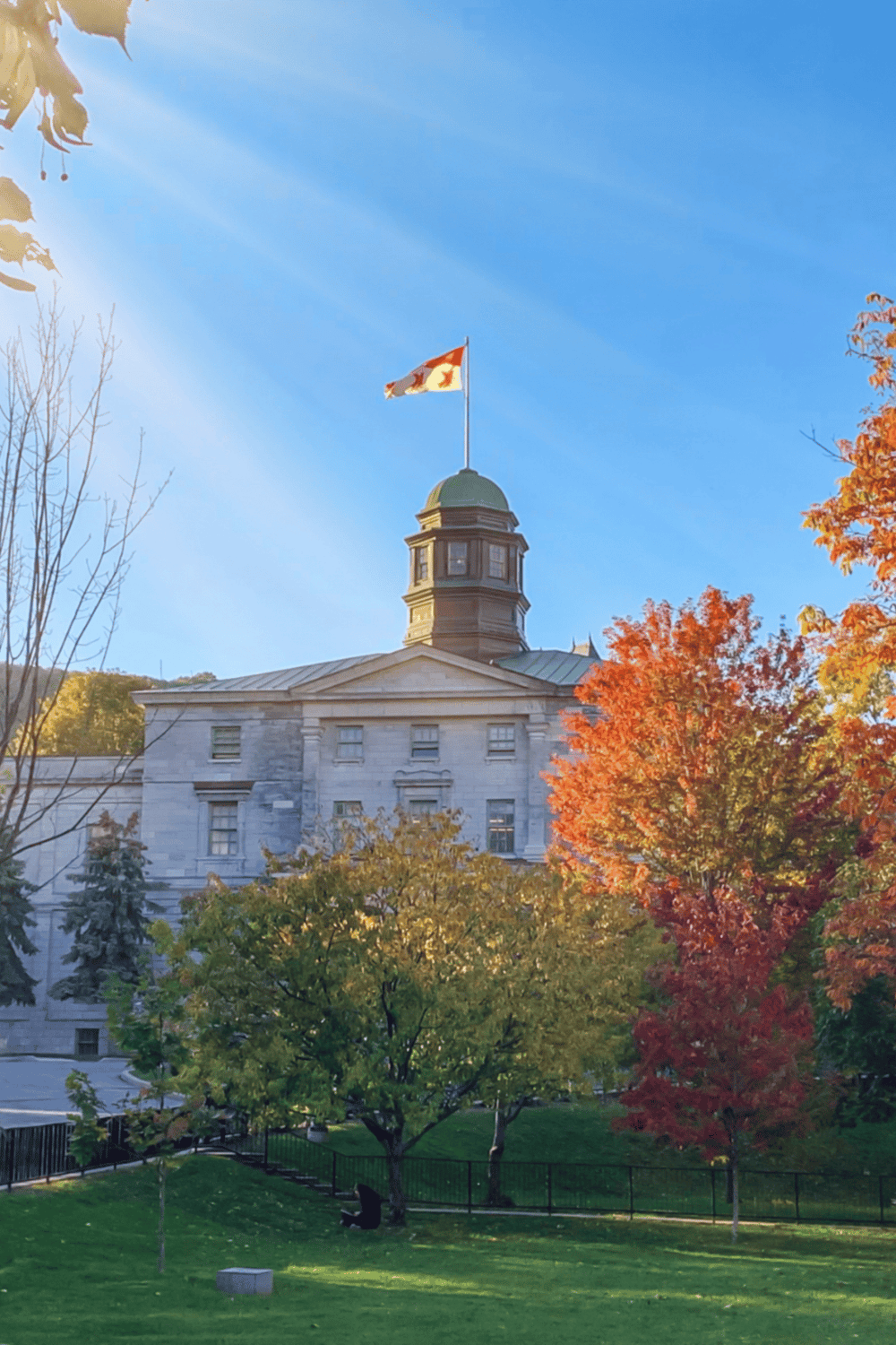 Historic government building featuring a clock tower and a Canadian flag, surrounded by colorful fall trees.