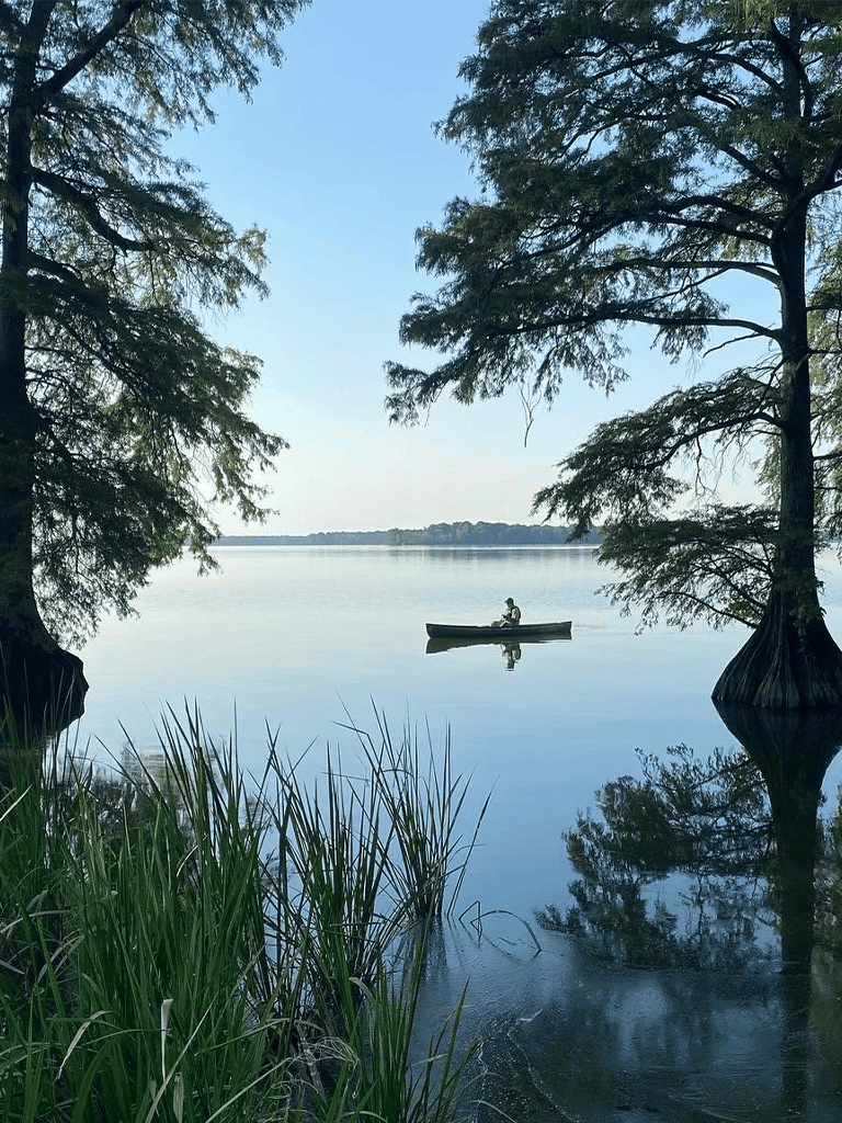 Tranquil lake scene with person canoeing between trees, perfect for outdoor adventure and nature exploration.