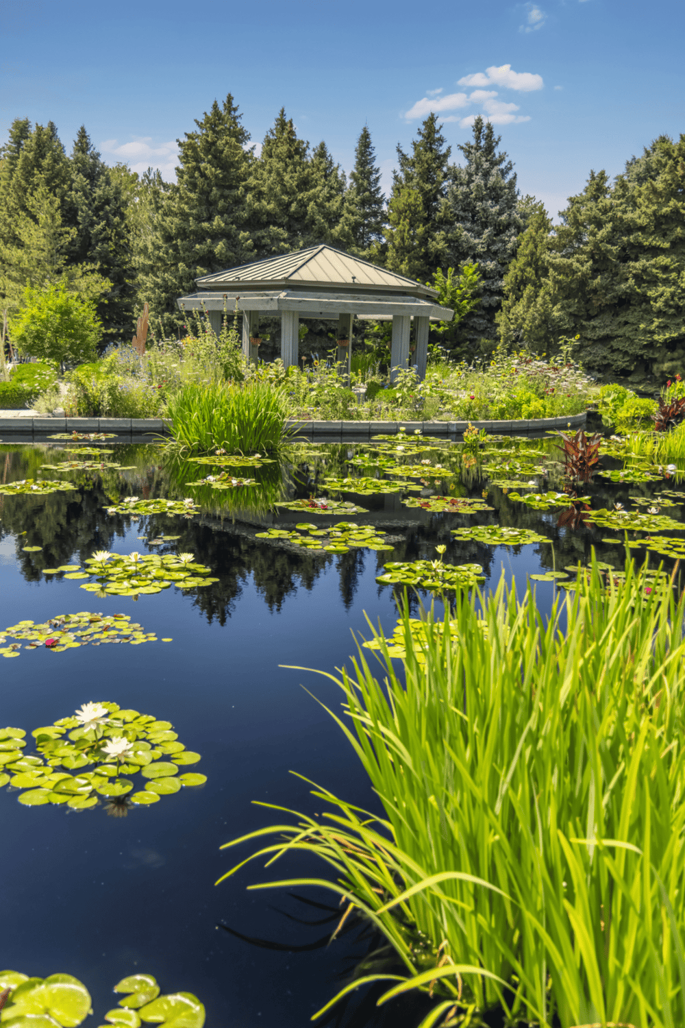 Serene pond with water lilies and a garden gazebo, perfect for tranquil outdoor experiences.