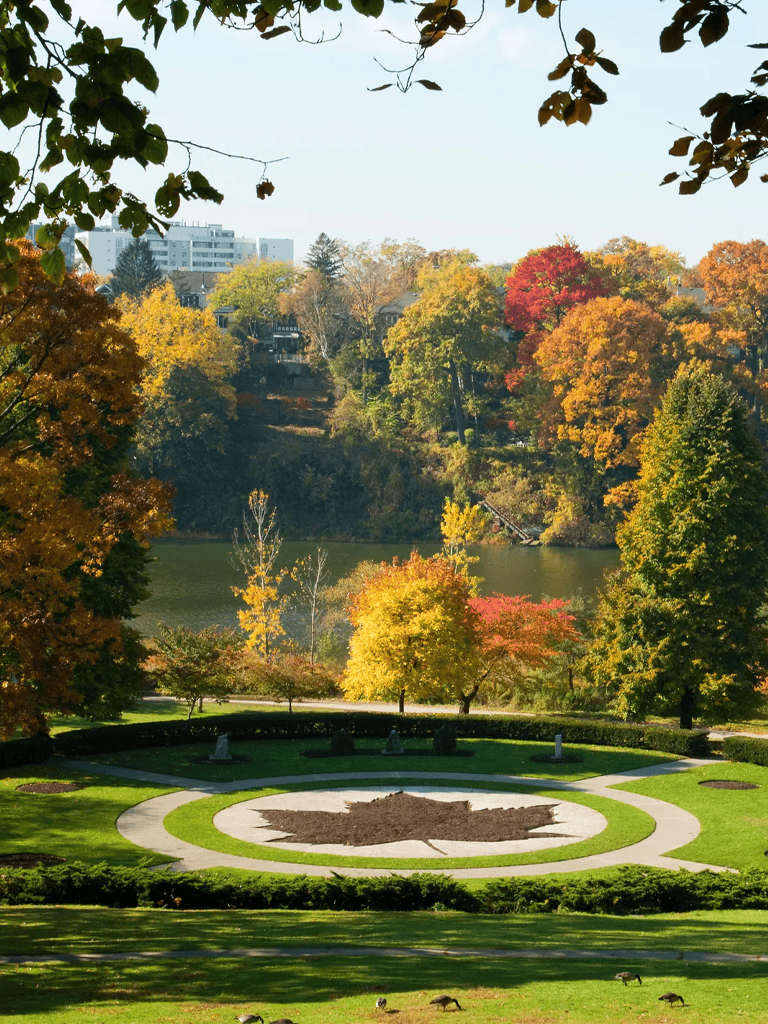 Vibrant autumn foliage and scenic park view with a memorial garden by the water.