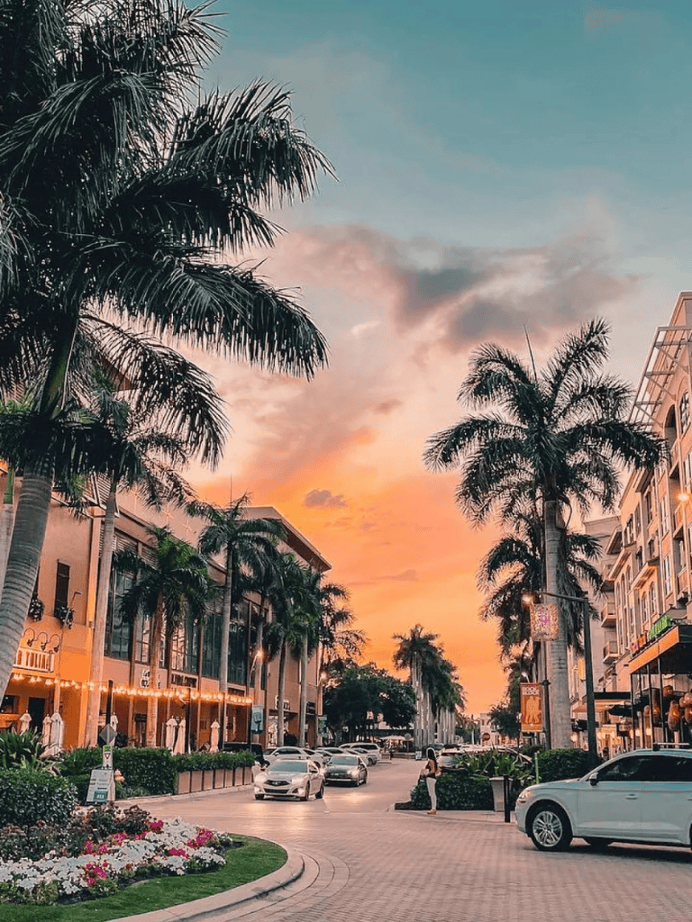 Elegant palm trees and vibrant sunset in a modern urban shopping district.